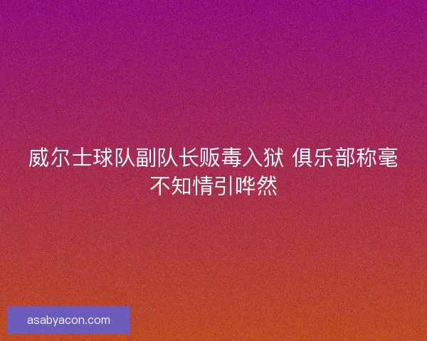威尔士球队副队长贩毒入狱 俱乐部称毫不知情引哗然